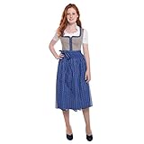 Almsach Dirndl Malina in grau und blau - 7