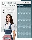 Stockerpoint Roseline Midi Dirndl, blau Altrosa - 5