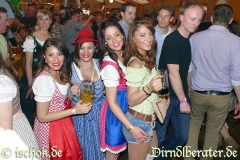 Stuttgarter Frühlingsfest 2015 Wasenwerit Zelt