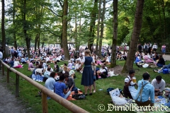 Kocherlball 2015 Picknick