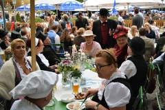 Kocherlball 2016 Dienstboten